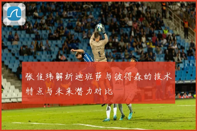 张佳玮解析迪班萨与彼得森的技术特点与未来潜力对比