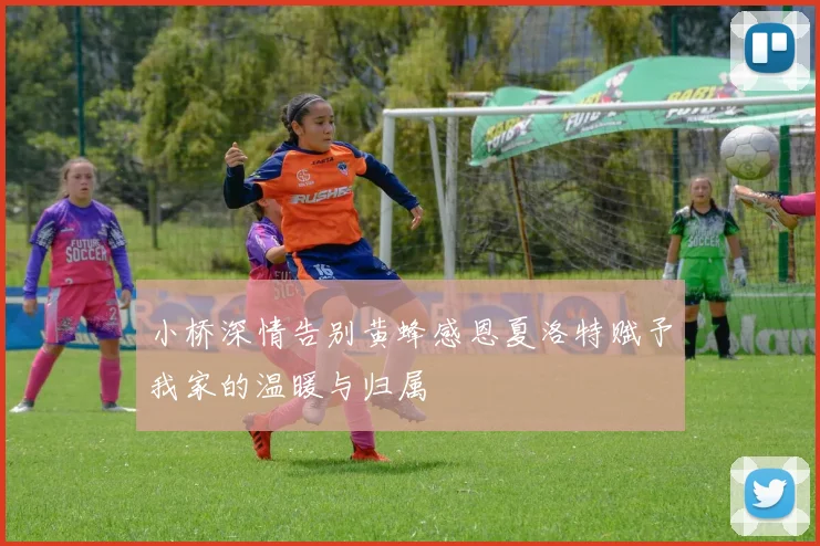 小桥深情告别黄蜂感恩夏洛特赋予我家的温暖与归属