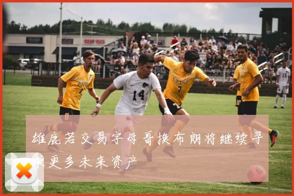 雄鹿若交易字母哥换布朗将继续寻求更多未来资产