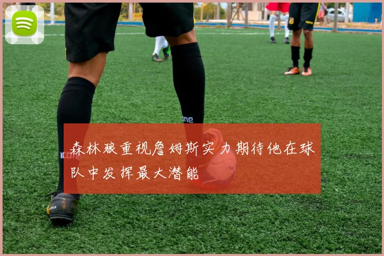 森林狼重视詹姆斯实力期待他在球队中发挥最大潜能